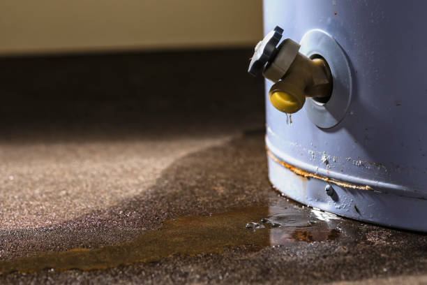 Best Fire Damage Restoration  in Riner, VA