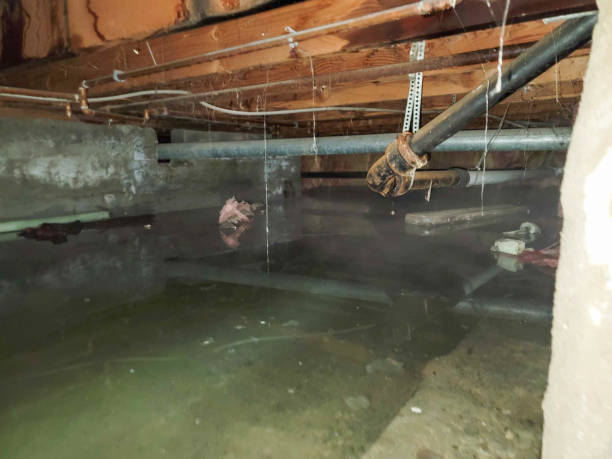 Water damage restoration process in Riner, VA