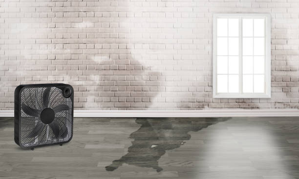 Best Water damage restoration near me  in Riner, VA