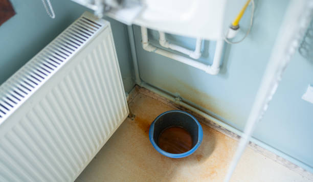 Best Professional water damage repair  in Riner, VA