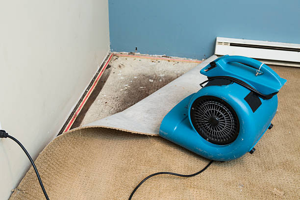 Carpet water damage restoration in Riner, VA